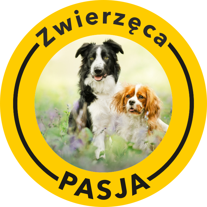 zwierzeca pasja
